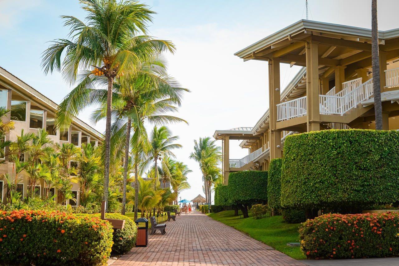 Fiesta Resort All Inclusive Central Pacific - Costa Rica El Roble Exterior photo The photo depicts a scenic pathway lined with palm trees and well-manicured hedges. On either side of the path are buildings, likely part of a resort or hotel, characterized by a wooden architectural style. The pathway appears to lead towards a beach